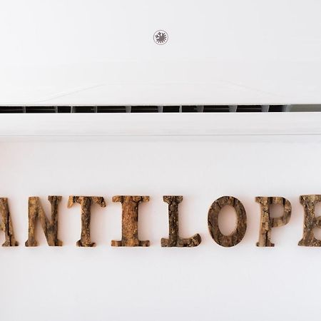 Antílope Algarrobo Exterior foto
