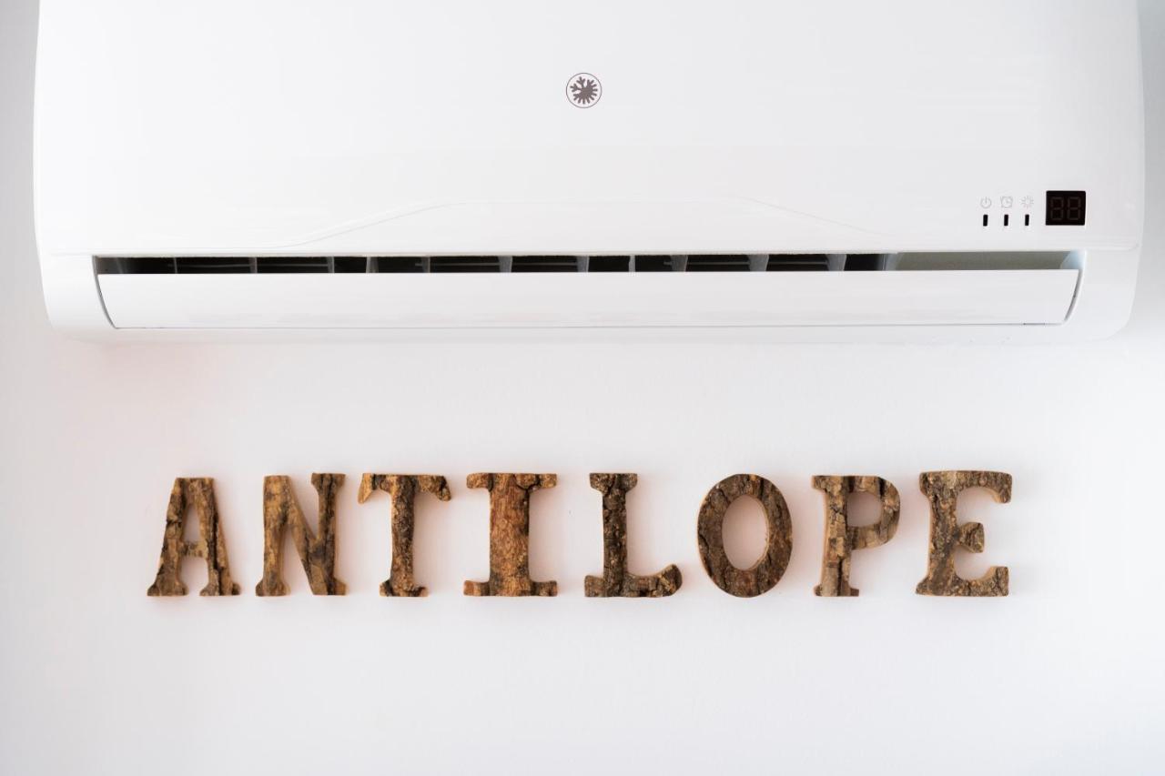 Antílope Algarrobo Exterior foto